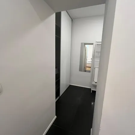 公寓 Tisa Place 卢布尔雅那